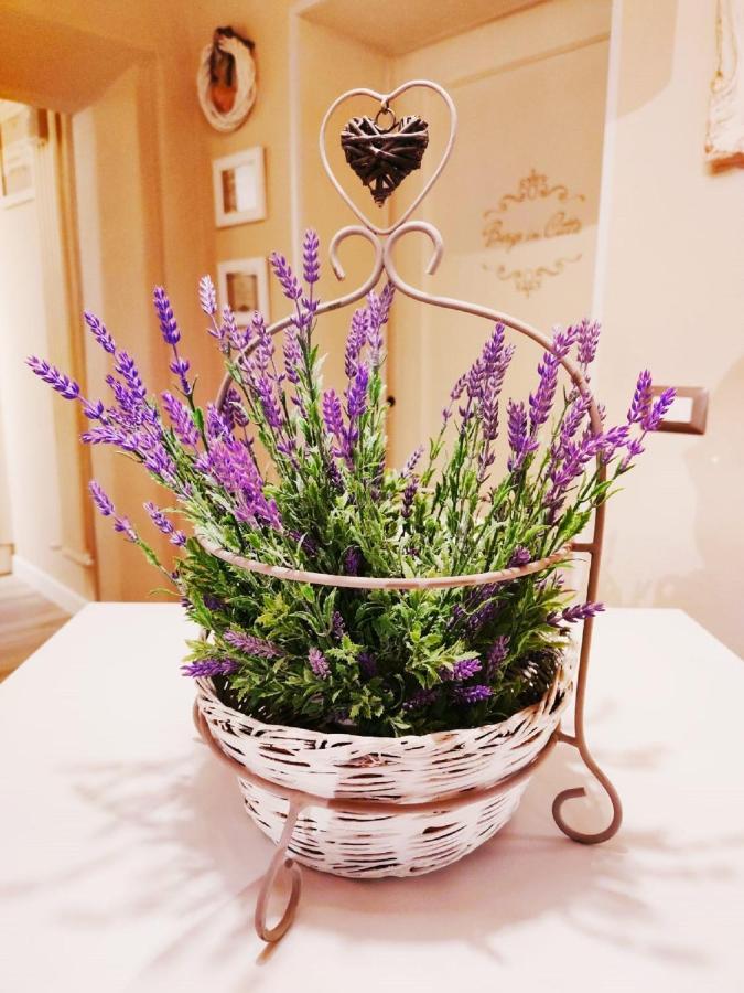 Borgo In Citta Apartment Pistoia Luaran gambar